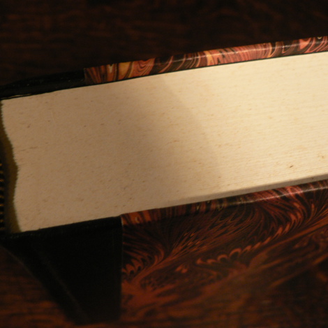 Foxing on top of book
